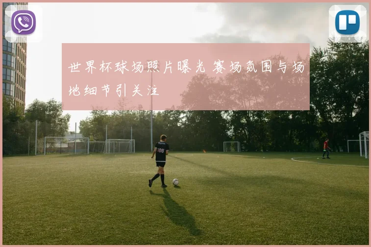 世界杯球场照片曝光 赛场氛围与场地细节引关注