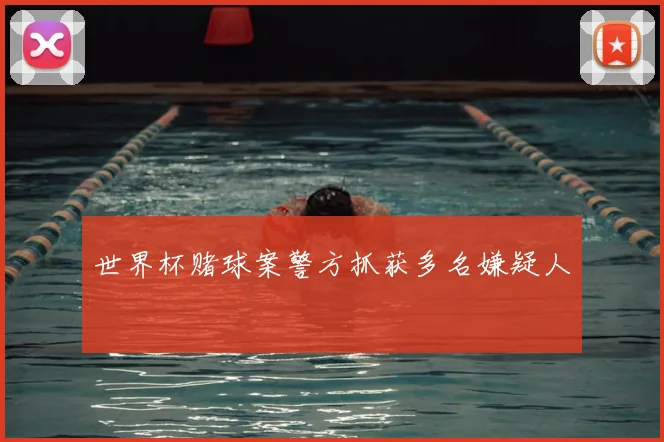世界杯赌球案警方抓获多名嫌疑人