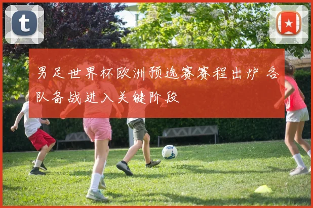 男足世界杯欧洲预选赛赛程出炉 各队备战进入关键阶段