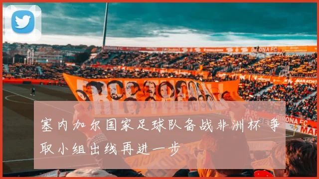 塞内加尔国家足球队备战非洲杯 争取小组出线再进一步