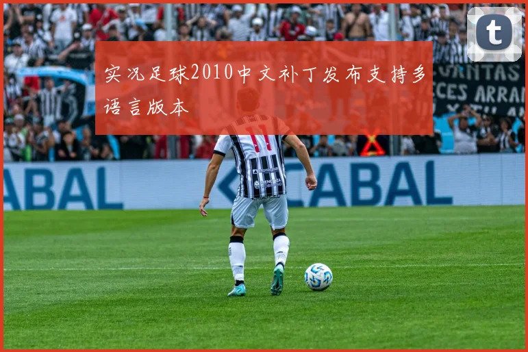 实况足球2010中文补丁发布支持多语言版本