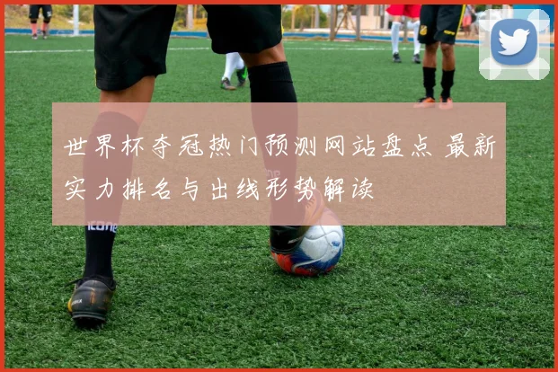 世界杯夺冠热门预测网站盘点 最新实力排名与出线形势解读