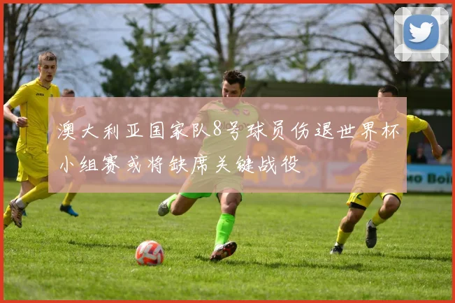 澳大利亚国家队8号球员伤退世界杯小组赛或将缺席关键战役