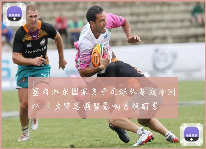 塞内加尔国家男子足球队备战非洲杯 主力阵容调整影响晋级前景