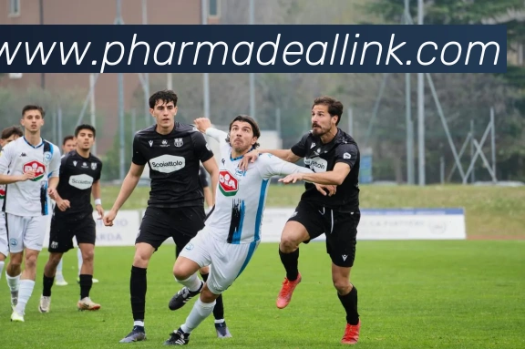 App Interface Preview